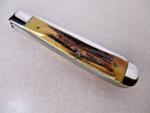 Vintage 1970 CASE XX USA 5254 TRAPPER KNIFE STAG 10 Dot Pocket Knives