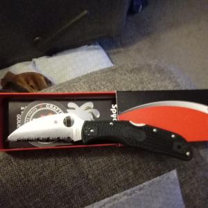 Spyderco Endela Wharncliffe Lightweight Knife with VG-10 Stainless Steel Blade and FRN Handle - SpyderEdge - C243FSWCBK