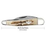 Case Knives XX Seahorse Whittler Vintage Bone Pocket Knife CA77464