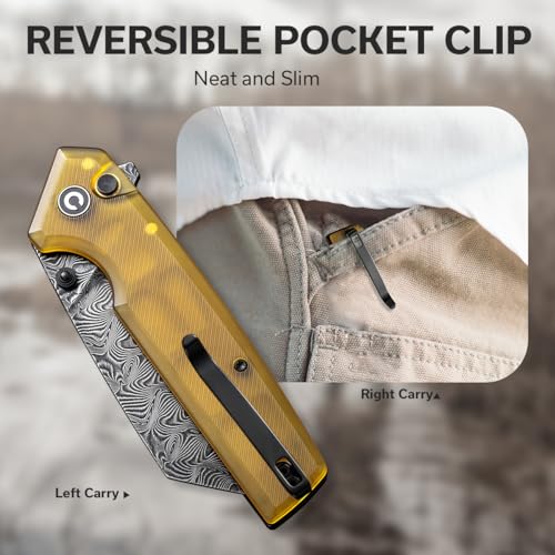 CIVIVI Amirite Damascus Wharncliffe Folding Pocket Knife