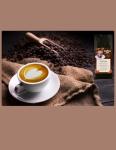 El Salvador Gourmet Coffee Beans - 1 LB Whole Bean