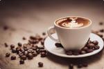 El Salvador Gourmet Coffee Beans - 1 LB Whole Bean