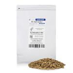 El Salvador Unroasted Green Coffee Beans, 5 lbs