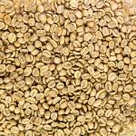 El Salvador Unroasted Green Coffee Beans, 5 lbs