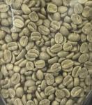 El Salvador Unroasted Green Coffee Beans, 5 lbs