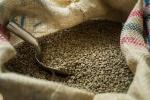 Panama Hacienda La Esmeralda Geisha Coffee Beans