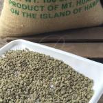 Hawaiian Kona Extra Fancy Coffee Beans, 1 LB