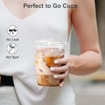 100 Pack 16 oz Clear Plastic Cups with Lids