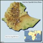 Ethiopian Yirgacheffe Green Coffee Beans, 1 lb