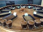 Ethiopian Yirgacheffe Green Coffee Beans, 1 lb
