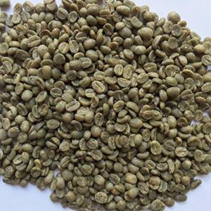 10 Lb Specialty Nicaraguan Unroasted Coffee Beans