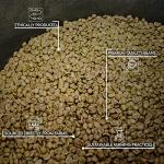 Guatemalan Green Coffee Beans - 2 LB Bag