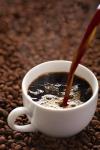 Moose Munch Decaf Caramel Whole Bean Coffee