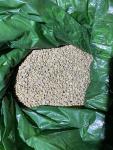 Kenya AA Unroasted Green Arabica Coffee Beans