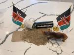 Kenya AA Unroasted Green Arabica Coffee Beans
