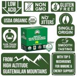 Organic Mushroom Coffee Pods with Superfood Mushrooms