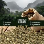 Sumatra Mandheling Green Coffee Beans - 3 Pounds