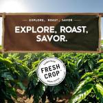 Sumatra Mandheling Green Coffee Beans - 3 Pounds