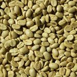 Ethiopian Yirgacheffe Green Coffee Beans, 1 Pound