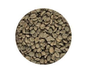 Roastika Kenya Plus AA 2lb Premium Green Coffee