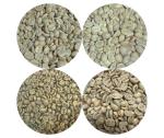 Roastika Unroasted Coffee Bean Sampler Pack 4lb