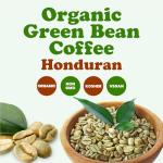 Organic Honduran Arabica Green Coffee Beans - 12oz