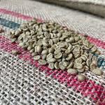 Guatemalan Antigua Raw Coffee Beans for Roasting