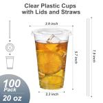 100 Pack Clear Plastic Cups with Lids and Straws