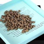 Panama Geisha Coffee Beans for Roasting, 16oz
