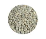 Roastika Green Coffee Bean Sampler Pack - 4lb