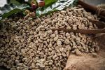 Bali Blue Moon Unroasted Green Arabica Coffee Beans