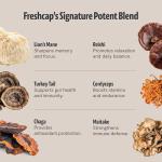 FreshCap Mushroom Coffee with Adaptogens – 15 Servings