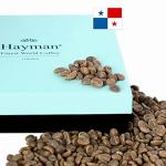 Panama Geisha Coffee Beans for Home Roasting