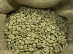 Guatemala Green Unroasted Coffee Beans, 10 Lbs