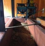 Colombian Huila Green Unroasted Coffee Beans (2 lbs)