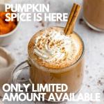 Sarasota Gourmet Pumpkin Spice Coffee Ground Packets