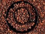 Premium Nicaragua Whole Bean Coffee - 2 Pounds