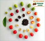 Kona Medium Roast Whole Coffee Beans 6 oz