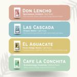 Canopy Point Coffee Sample Pack - 4 Gourmet Beans