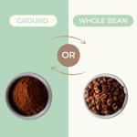 Canopy Point Coffee Sample Pack - 4 Gourmet Beans