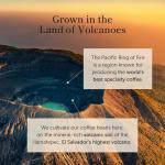 El Salvador Red Bourbon Honey Ground Coffee - Medium Roast