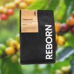 Reborn Specialty Whole Bean Medium Roast Coffee