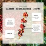 Reborn Specialty Whole Bean Medium Roast Coffee