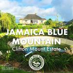 Jamaica Blue Mountain Coffee Whole Bean 5 lbs