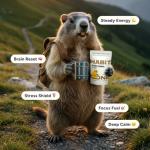 HabitONE Organic Mushroom Coffee Blend – 30 Servings