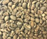 Sumatra Green Unroasted Coffee Beans - 16 Ounces