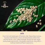 Unroasted Decaf Sumatra Coffee Beans, 5 Pounds