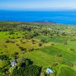 Hawaiian Kona Coffee - Chocolate Macadamia Nut, 8oz