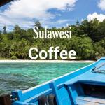 Fresh Roasted Sulawesi Celebes Kalossi Coffee 16oz
