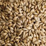 Cherry Wood Smoked Malt - 1 LB Uncrushed